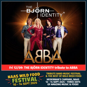 The Bjorn Identity ABBA Live at Naas Wild Food Festival